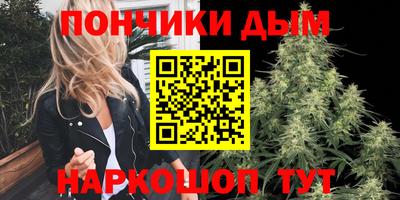 индика Кулебаки