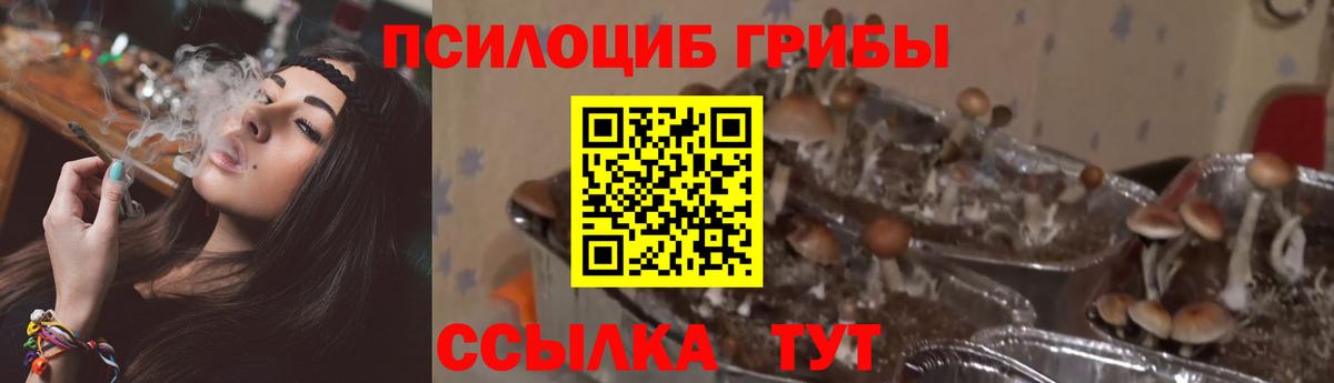 Галлюциногенные грибы мицелий  Псилоцибиновые грибы Magic Shrooms  наркотики  Шебекино  Вход с VPN 